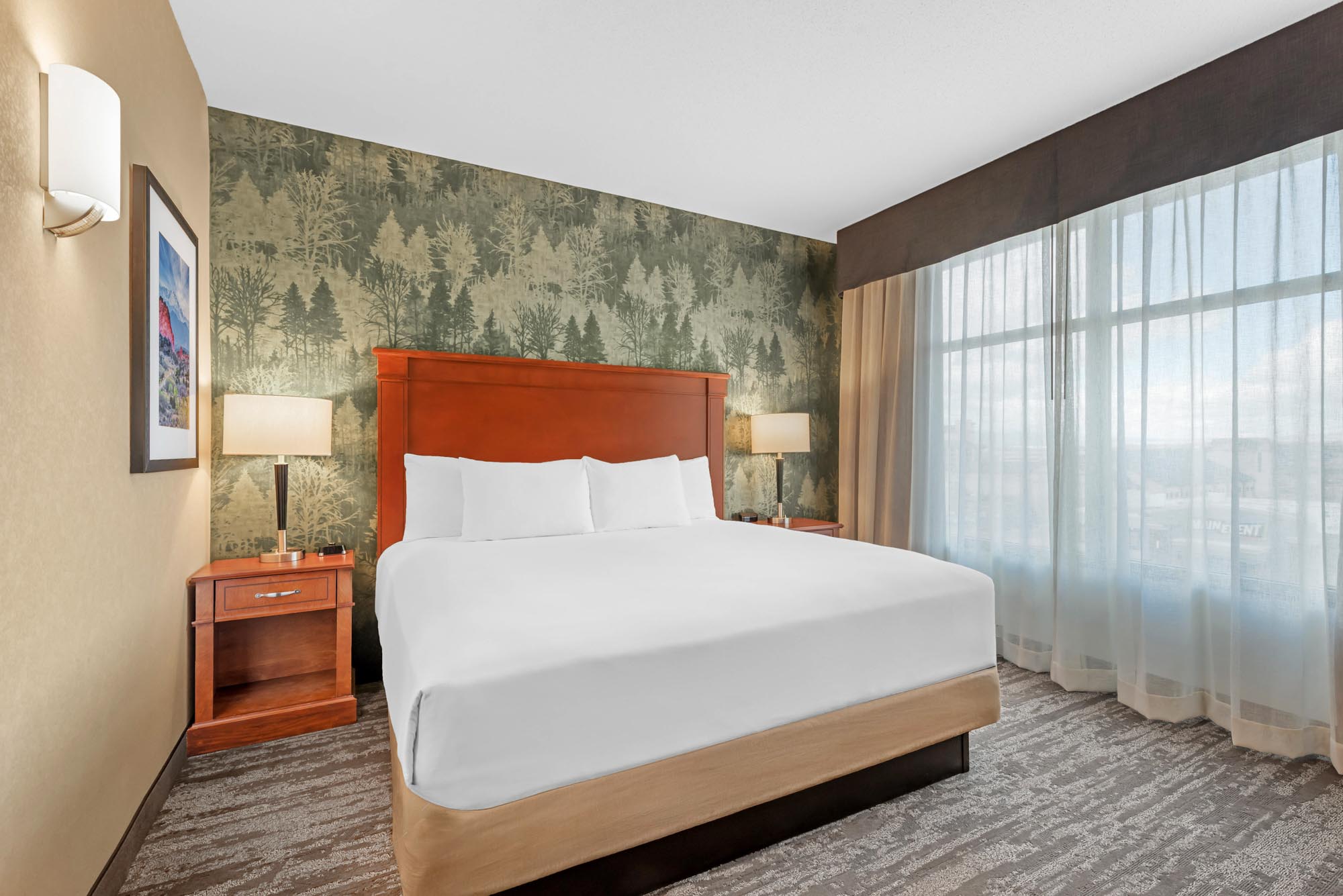 Drury Plaza Hotel Colorado Springs Near the Air Force Academy - 1 King Bed Suite