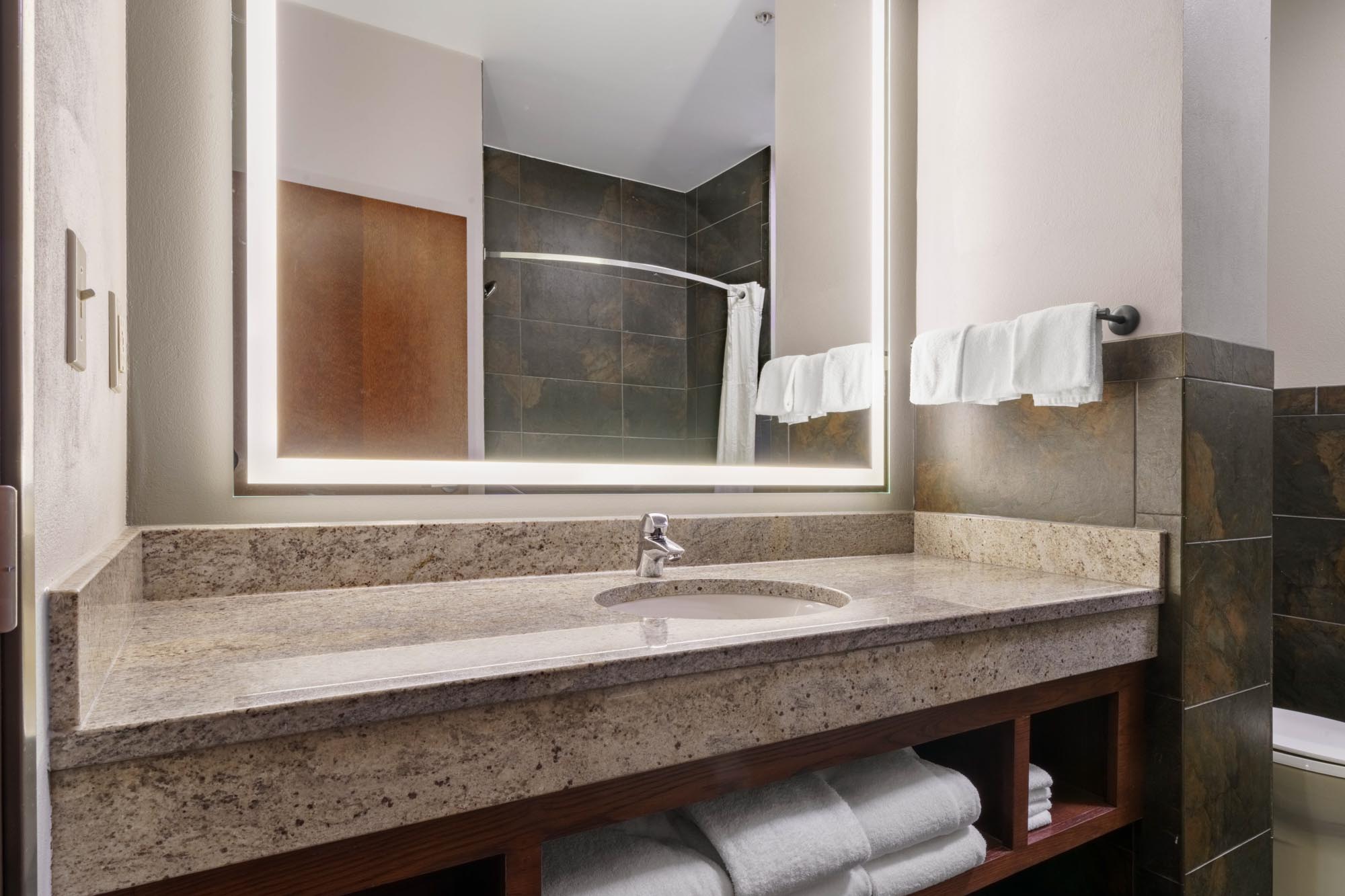 Drury Plaza Hotel New Orleans - Guest Bathroom