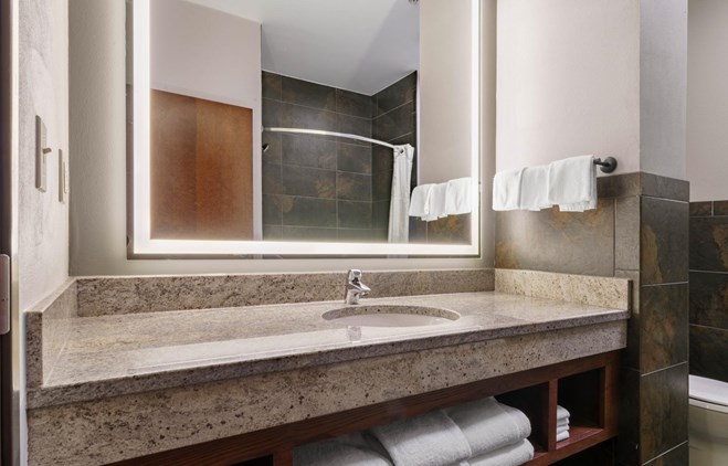 Drury Plaza Hotel New Orleans - Guest Bathroom