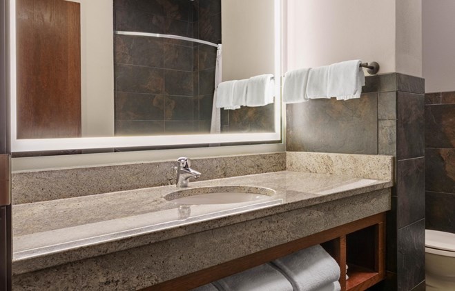 Drury Plaza Hotel New Orleans - Guest Bathroom