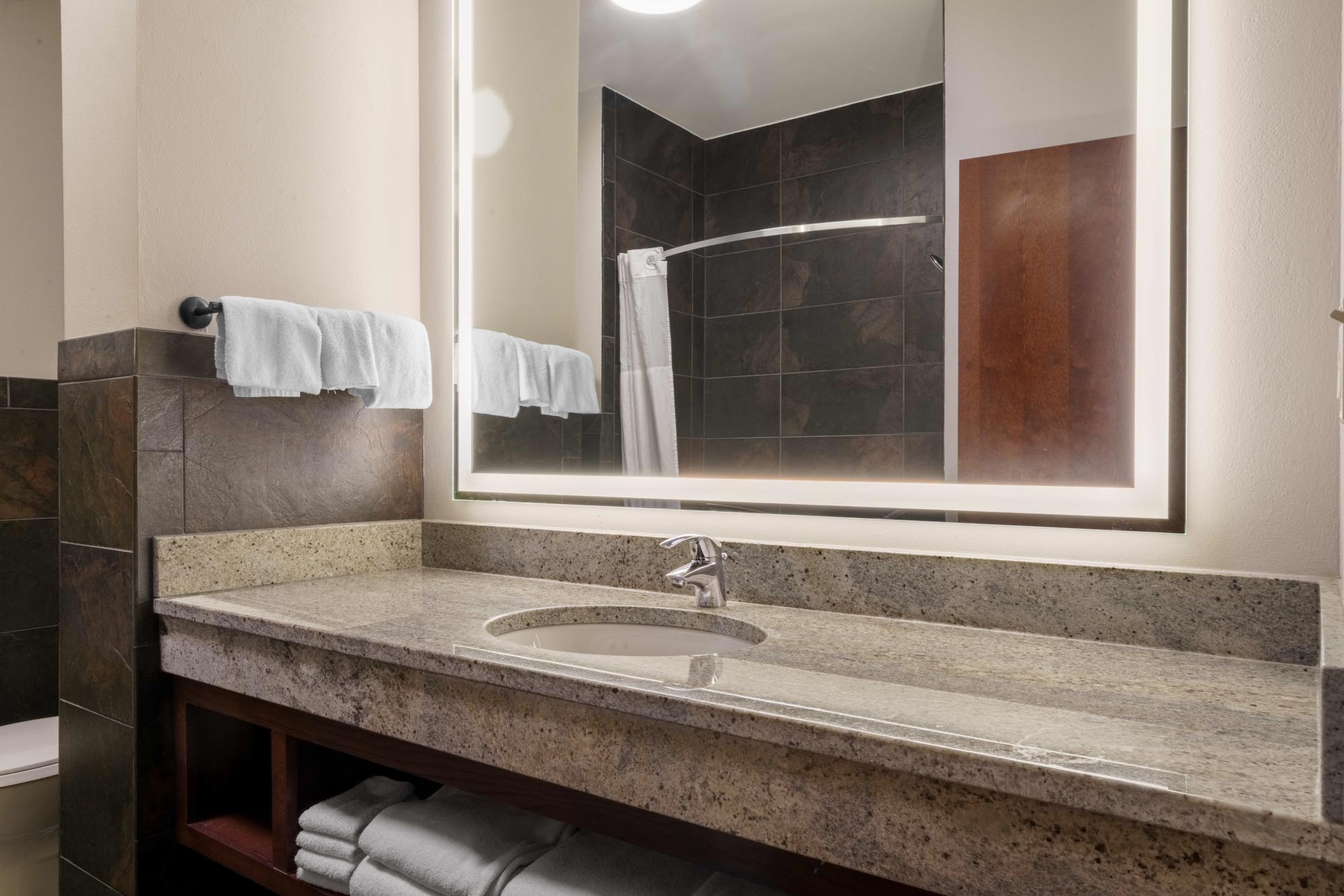 Drury Plaza Hotel New Orleans - Guest Bathroom