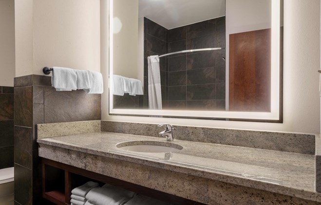 Drury Plaza Hotel New Orleans - Guest Bathroom