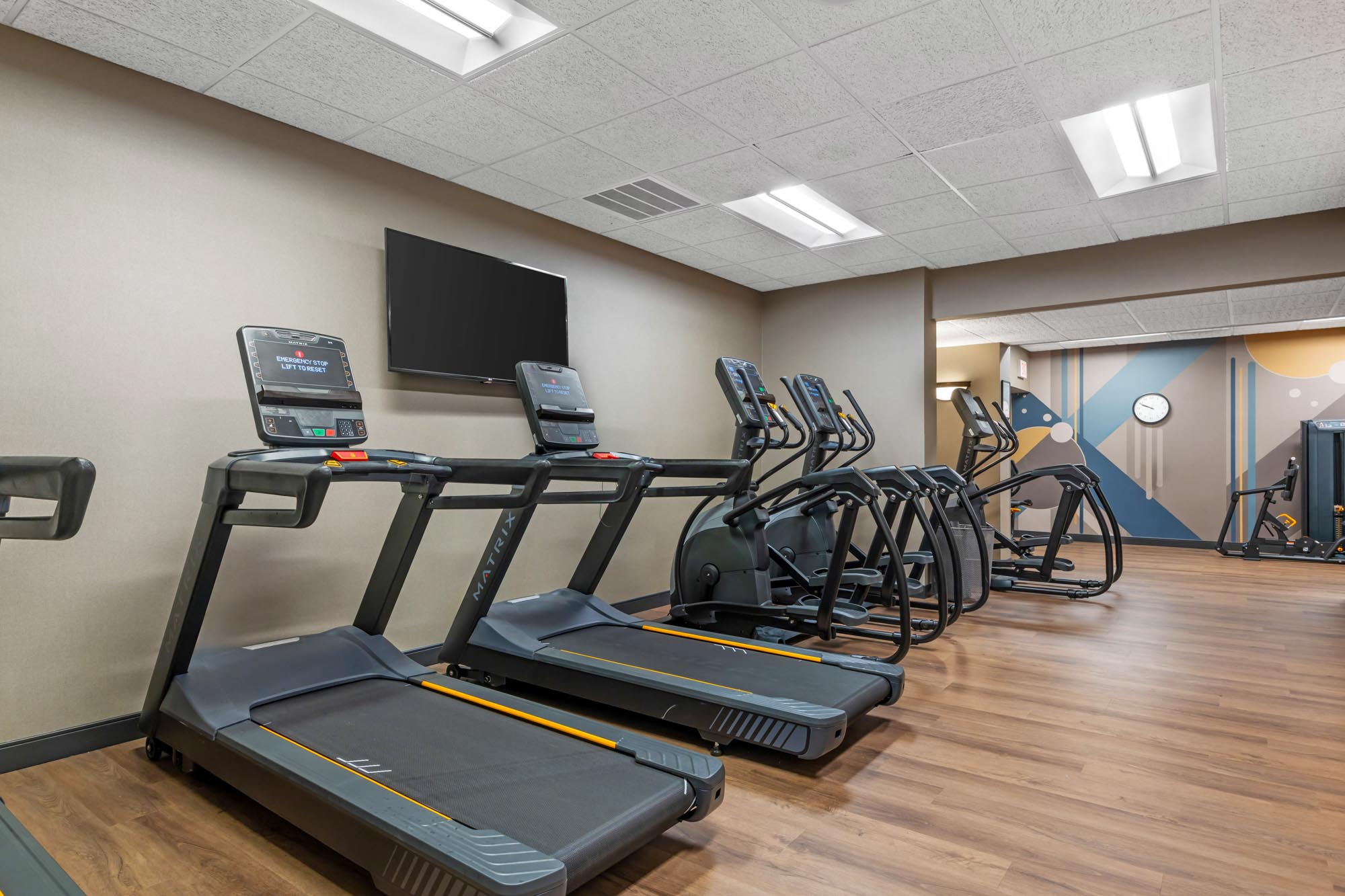 Drury Plaza Hotel Louis At Union Station - Fitness
