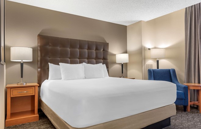 Drury Plaza Hotel Louis At Union Station - King Room