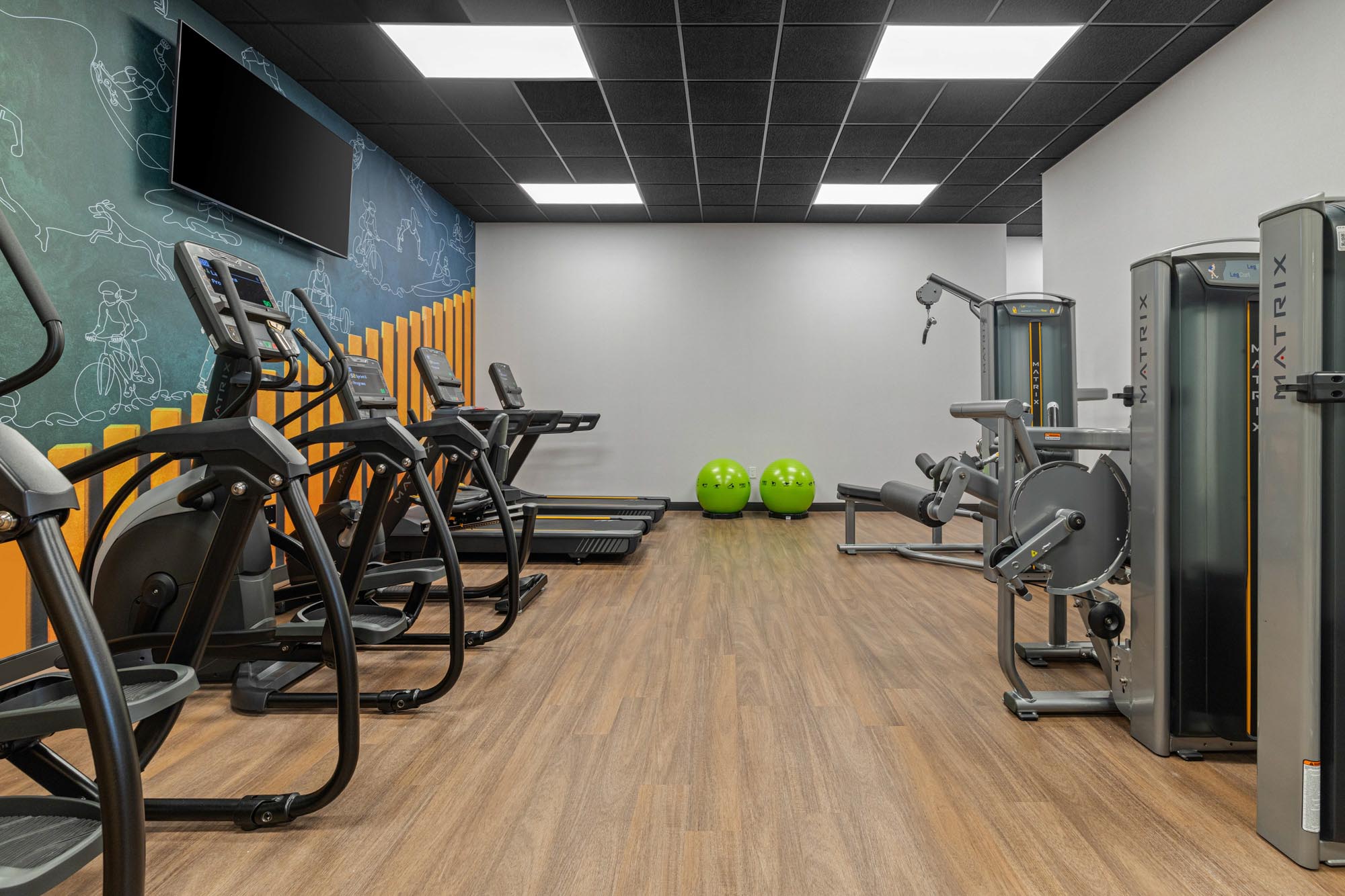 Drury Plaza Hotel Nashville Southeast Century Farms - Fitness Center