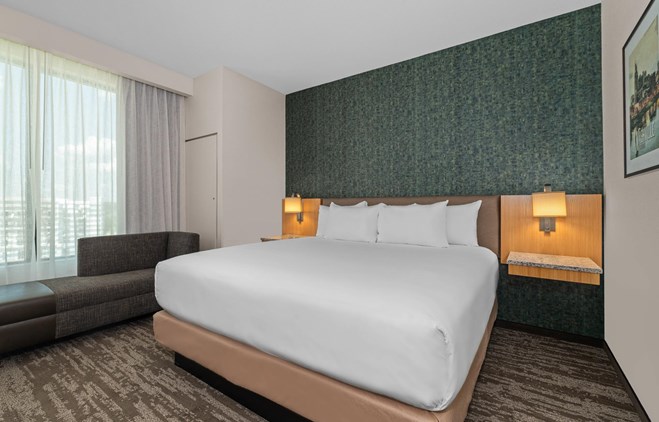 Drury Plaza Hotel Nashville Southeast Century Farms - 1 King Bed Guestroom